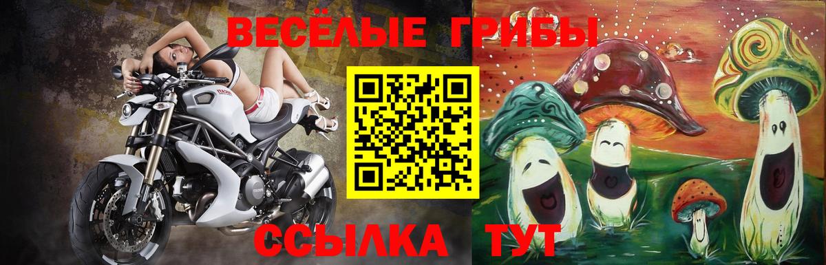 Псилоцибиновые грибы прущие грибы Магадан